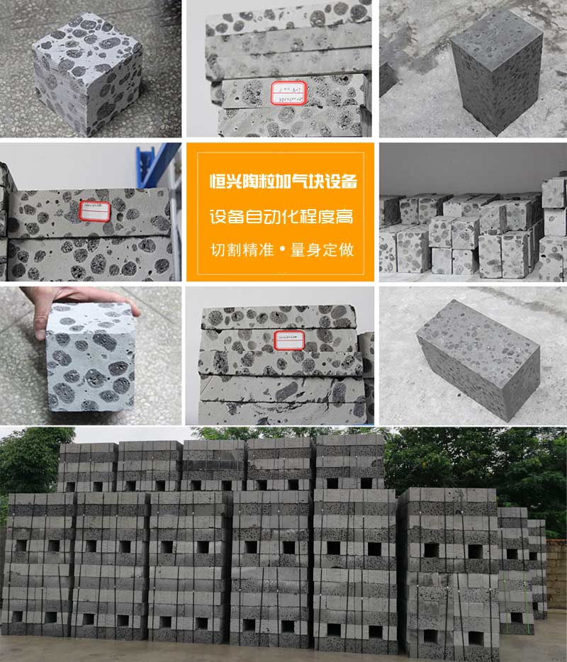 陶(táo)粒(lì)加氣混(hùn)凝土砌(qì)塊